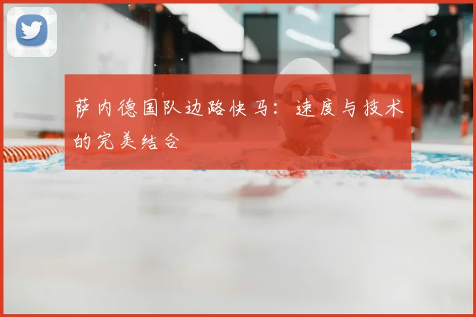 萨内德国队边路快马:速度与技术的完美结合