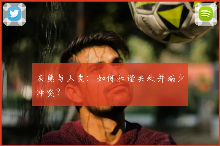 灰熊与人类：如何和谐共处并减少冲突？
