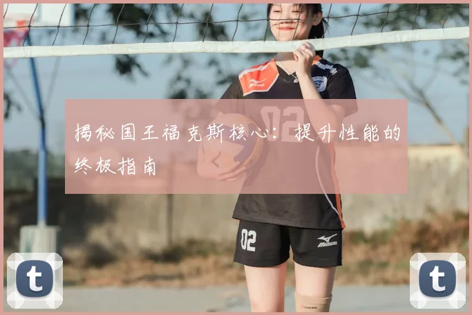 揭秘国王福克斯核心：提升性能的终极指南