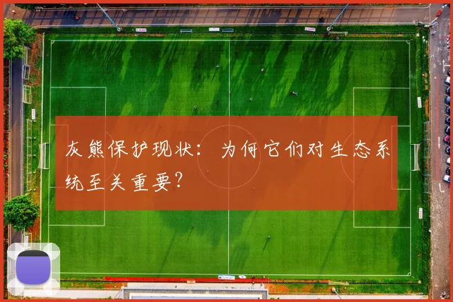 灰熊保护现状：为何它们对生态系统至关重要？
