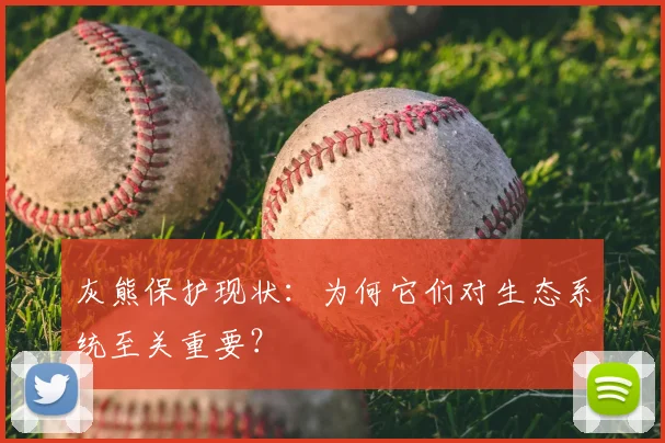 灰熊保护现状：为何它们对生态系统至关重要？